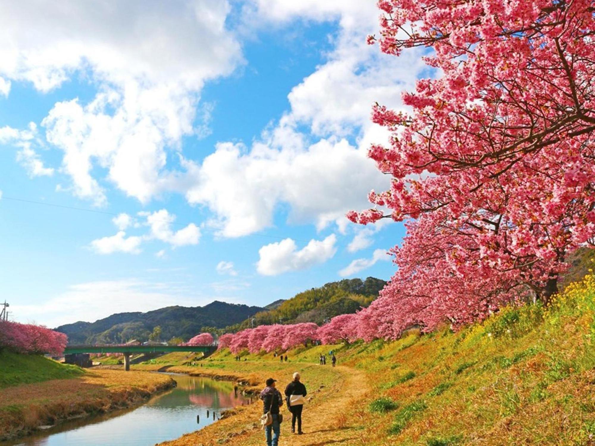 Kr バーズ ヴィラ伊豆白浜リゾート Shimoda  Dış mekan fotoğraf